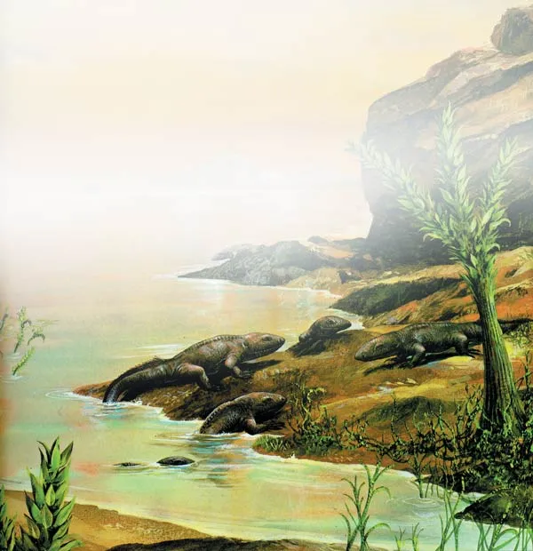transition from water to land