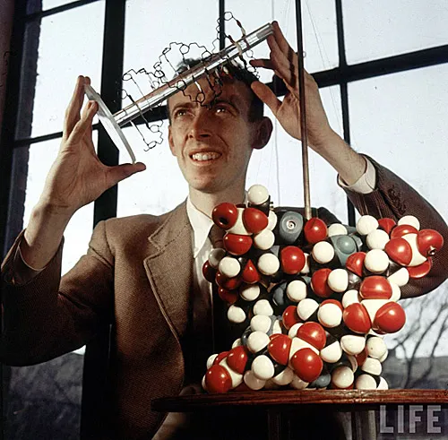 When Watson and Crick discovered the structure of DNA, they revealed that life had a far more complex structure than had previously been imagined.