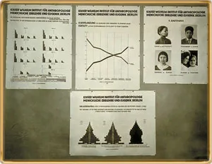 Samples of eugenic studies carried out by the Kaiser Wilhelm Institute