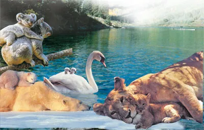 Nature does not consist solely of a fight to the death. Many living things display exceedingly altruistic behavior, both towards their own young and towards oth